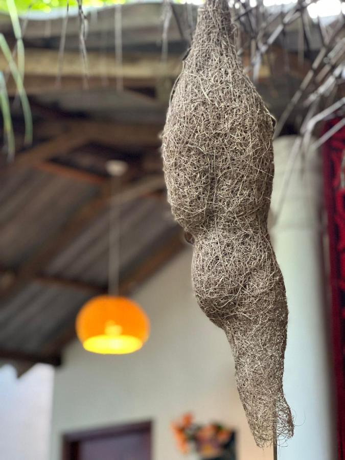 Mamba Hotell Tangalle Exteriör bild