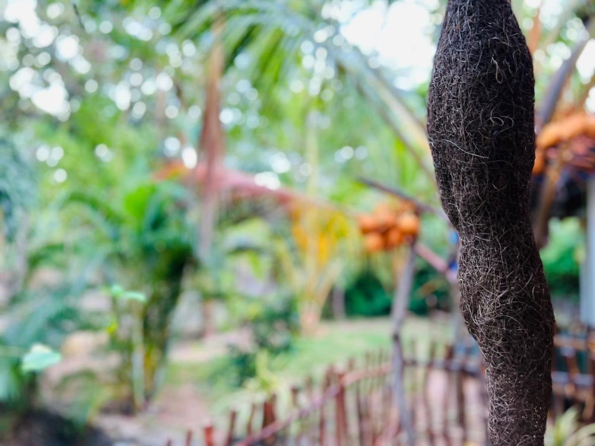 Mamba Hotell Tangalle Exteriör bild